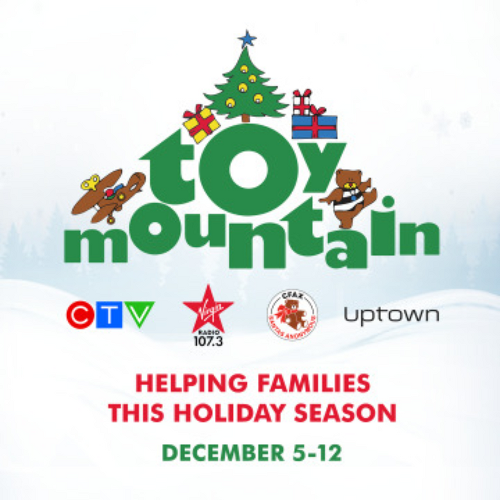 Toy Mountain